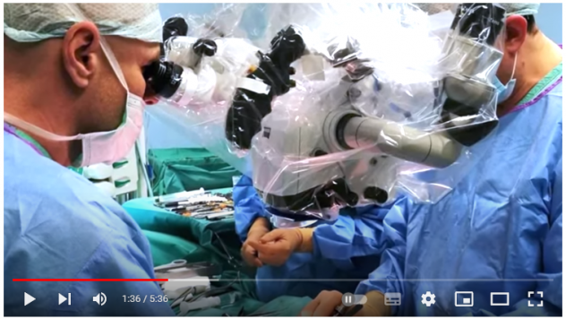 obraz 2023 04 03 102314508 obraz 2023 04 03 102314508