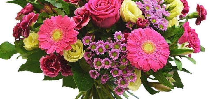 Międzynarodowy Dzień Pielęgniarki – życzenia