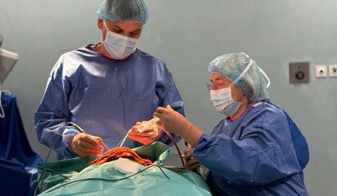 577861442 1425709526226747 5614327136521331632 n