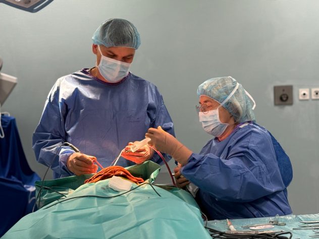 577861442 1425709526226747 5614327136521331632 n 577861442 1425709526226747 5614327136521331632 n